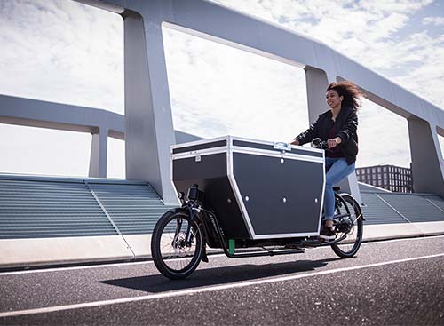 Urban Arrow XL reconditionné